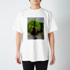 絵描きの和紗の苔むした岩 Regular Fit T-Shirt