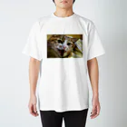 otamasanの威嚇ネコ Regular Fit T-Shirt