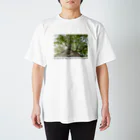 mono1の木漏れ日 Regular Fit T-Shirt