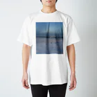 Orchestra:Suzuri支店の世界の風景:Arctic3 スタンダードTシャツ