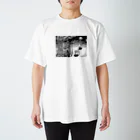 Kumibarcalow_のオーロラのよる Regular Fit T-Shirt