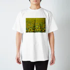 Scene_Sniperのひまわり01 スタンダードTシャツ