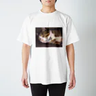 625626のぶさいく猫 Regular Fit T-Shirt