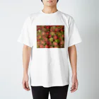 Scene_Sniperのフルーツ001　ランブータン Regular Fit T-Shirt