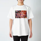 photo-kiokuの花火１ Regular Fit T-Shirt