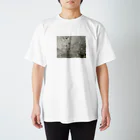 togiwaの盤 Regular Fit T-Shirt