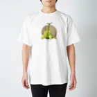 おやさい妖精さんの お店🌱のリクガメメロン スタンダードTシャツ