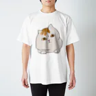 アコルのうかがいねこ スタンダードTシャツ