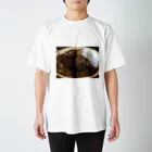 otya-desuのカレーライス Regular Fit T-Shirt