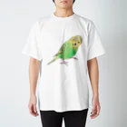 まめるりはことりの首傾げセキセイインコ　ピーちゃん【まめるりはことり】 Regular Fit T-Shirt