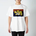 ドップラー効果のれれれれれもん Regular Fit T-Shirt