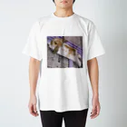 asianaのうさぎさんTシャツ<リラックス> Regular Fit T-Shirt