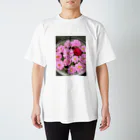 ゆきの八重咲き秋桜 スタンダードTシャツ