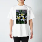 ゆきのプルメリア　2 Regular Fit T-Shirt