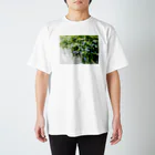 photo-kiokuのルリマツリ Regular Fit T-Shirt