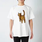 Riotoのねこけつω（茶トラ） スタンダードTシャツ