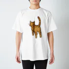 Riotoのねこけつ（茶トラ） Regular Fit T-Shirt