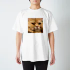 ビスコのうちのねこ Regular Fit T-Shirt