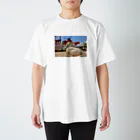 ❣️コールダックのKちゃん❣️のシャボン玉 Kちゃん Regular Fit T-Shirt