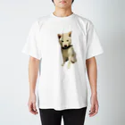 犬と猫と1日の豆柴犬のいっしんくん2 スタンダードTシャツ