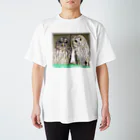 アニマルカフェ　The zoo &猛禽屋中部のナンベイヒナフクロウ&トラフズク スタンダードTシャツ