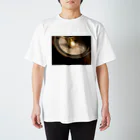 あの日のフィルムの溶けないザラメ Regular Fit T-Shirt