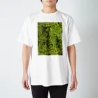 typeのコケ苔 Regular Fit T-Shirt