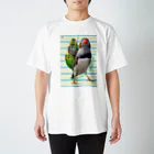 だが屋のキンカチョウ×セキセイインコ スタンダードTシャツ