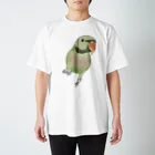 まめるりはことりのご機嫌なダルマインコちゃん【まめるりはことり】 Regular Fit T-Shirt