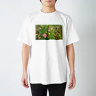 荒ぶるハムスターの毒キノコ スタンダードTシャツ