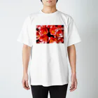 ak296の赤い花 Regular Fit T-Shirt