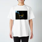 34の浮遊光 Regular Fit T-Shirt