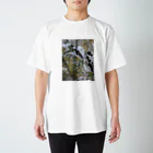 cucchaの岩肌 Regular Fit T-Shirt