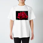 有川　弘治の薔薇 スタンダードTシャツ