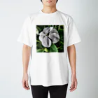 TFNTのアフリカホウセンカ白Ａ－TFNT Regular Fit T-Shirt