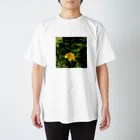 Haru “Casade Verde”のヒペリカムヒドコート スタンダードTシャツ