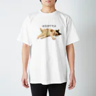 ANAN＠猫ひろしの人🥚🥚のやる気だせよ Regular Fit T-Shirt