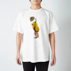 あねそかり シンガーソングライターのみょん Regular Fit T-Shirt