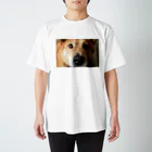 Tadakuni TaniのBow-wow crush スタンダードTシャツ