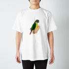 アキクサインコとウロコインコの手のりインコ、ウロコインコ Regular Fit T-Shirt