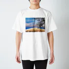 mizuphoto galleryの夕焼けと赤瓦屋根 スタンダードTシャツ