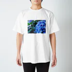 SHOPマニャガハの渦紫陽花(ウズアジサイ) スタンダードTシャツ