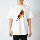 柴犬しばわんこhana873の伸びしてる柴犬(のびしてるしばいぬ) スタンダードTシャツ