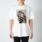 焼きマンゴスチンの見下ろし猫ウェア Regular Fit T-Shirt