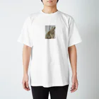 akdawnのPonZ Regular Fit T-Shirt