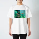 ENDoのSAKANA スタンダードTシャツ