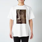 art-standard（アートスタンダード）のグスタフ・クリムト（Gustav Klimt） / 『哲学』（1899年 - 1907年） スタンダードTシャツ