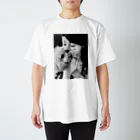 けぃすけの愛犬と美女 スタンダードTシャツ