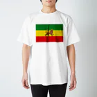 DRIPPEDのRASTAFARI LION FLAG-エチオピア帝国の国旗- Tシャツ Regular Fit T-Shirt