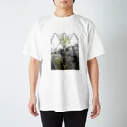 ART PHOTO ONLINE SHOPの旧線路跡 スタンダードTシャツ